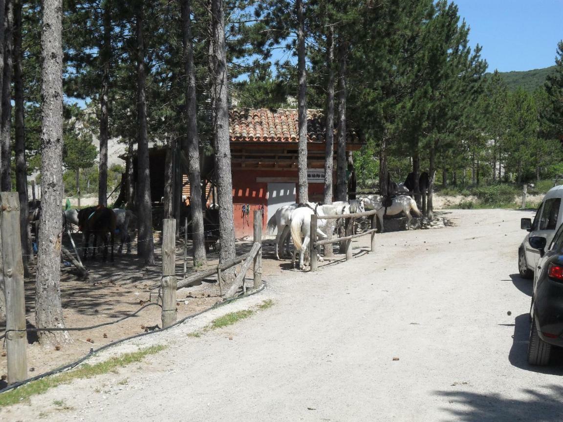 Bienvenidos A Vuestra Casa! Leilighet Sansoáin Eksteriør bilde